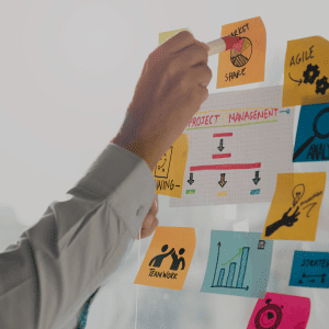 Gestão de Projetos e Portfólio